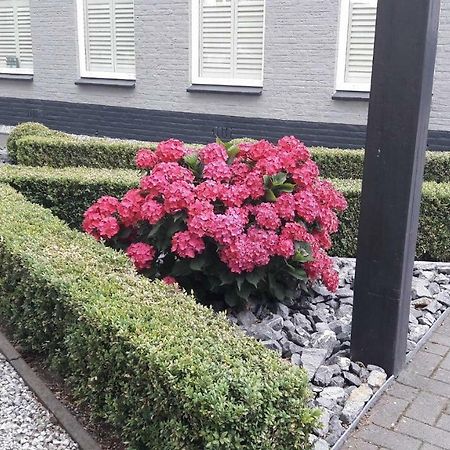 Sfeervolle 2 Persoons Studio In Bakkeveen Εξωτερικό φωτογραφία